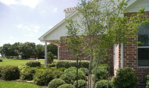 Grass Sod & Landscape